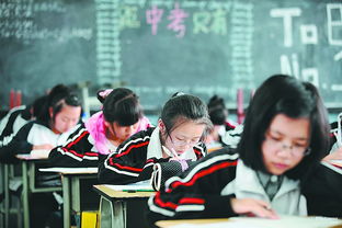 細(xì)節(jié)決定成效 杭州人眼中為何選專業(yè)化一對(duì)一教育更易改變初高中英語